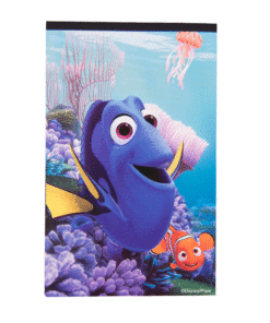 AΛMΠOYM ME STICKERS DORY 16X24 250TMX